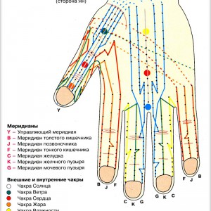 меридианы руки